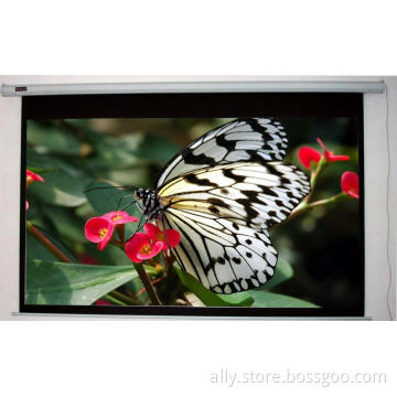 High Quality Glass Beaded Motorized Screen With Remote